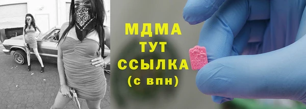 шишки Болотное