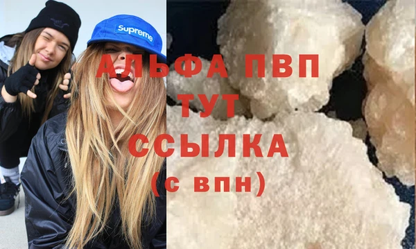 трава Сураж