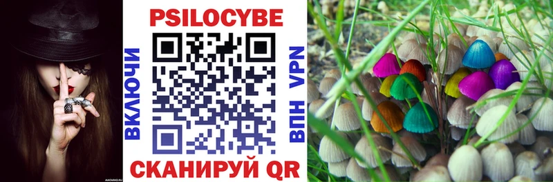Галлюциногенные грибы Psilocybe  закладки  Апшеронск 