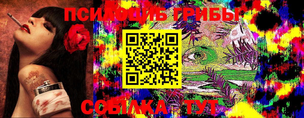 Галлюциногенные грибы Psilocybe  Апшеронск 