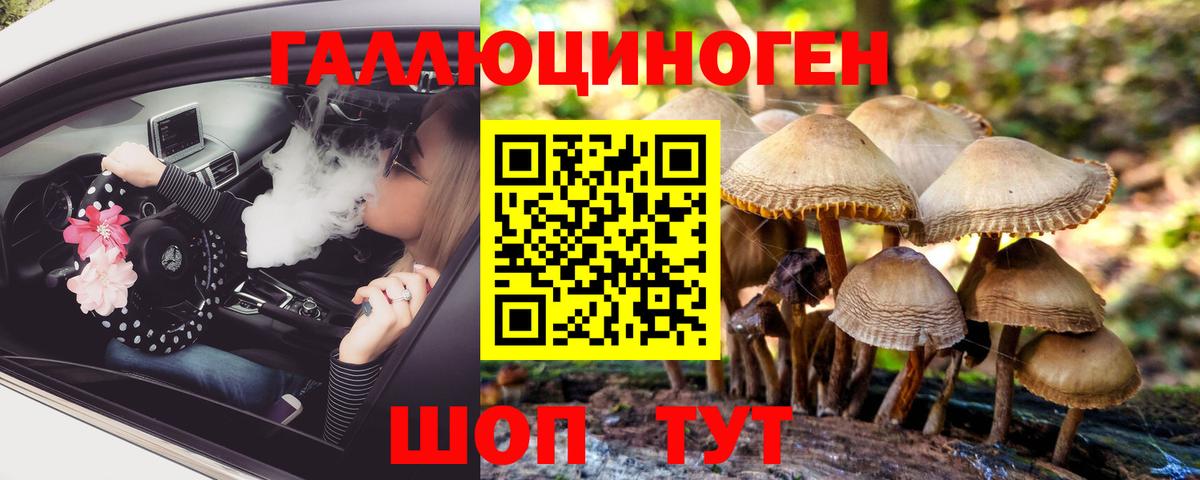 Псилоцибиновые грибы мицелий Апшеронск