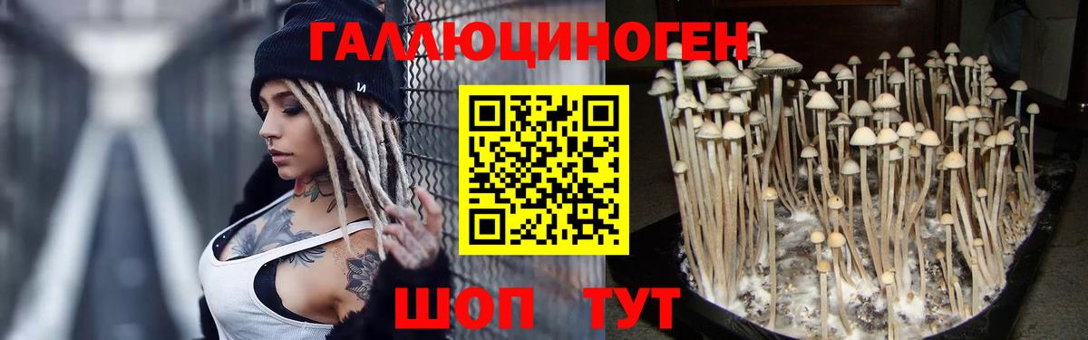 Апшеронск  Псилоцибиновые грибы мицелий  Вход с VPN 