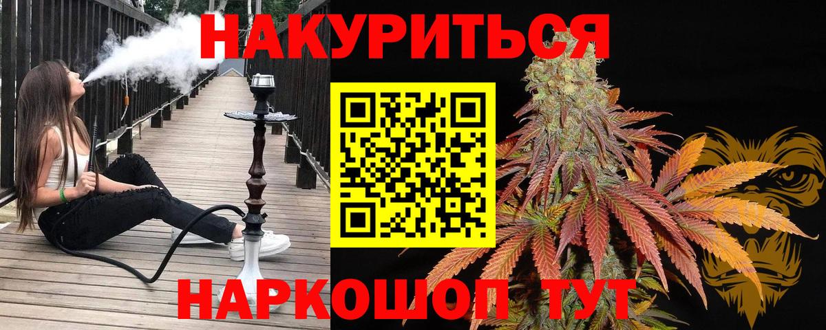 Каннабис OG Kush Апшеронск